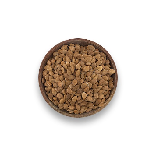nt0121 Apricot Seeds (Maghz Zardaloo) - Image 1